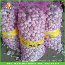 New Crop Fresh Normal White Garlic Snow White Garlic Red Garlic In Cold Storage